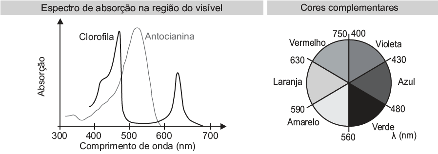 Cores Complementares - Artes Enem